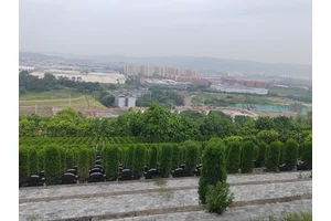人与墓园，生死交织的静谧空间