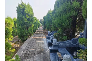 墓地，一个充满历史和文化的故事