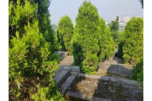 公墓安葬悼念服务